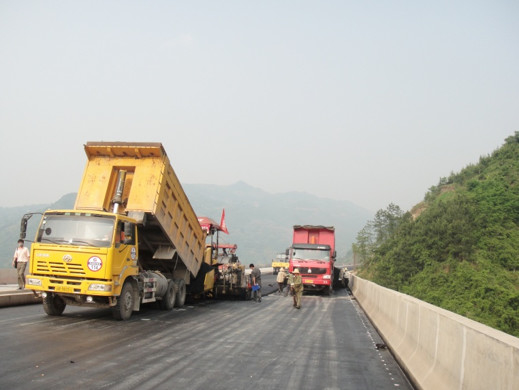 Le polymère d'Asphalt Modifier Anti Rutting Additive a modifié Asphalt Binders